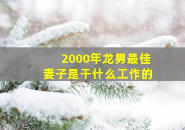 2000年龙男最佳妻子是干什么工作的