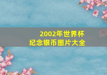 2002年世界杯纪念银币图片大全