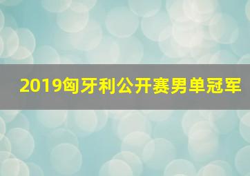 2019匈牙利公开赛男单冠军