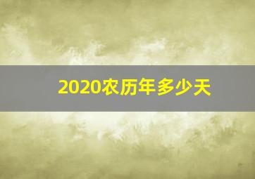 2020农历年多少天