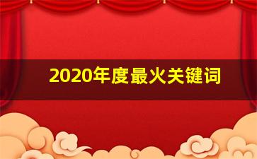 2020年度最火关键词