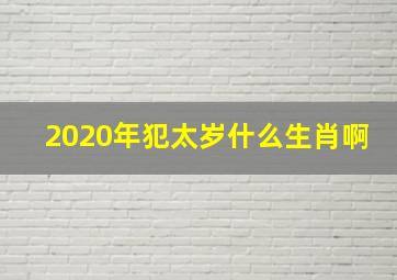 2020年犯太岁什么生肖啊