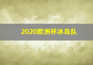 2020欧洲杯冰岛队