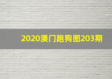 2020澳门跑狗图203期