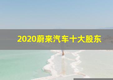 2020蔚来汽车十大股东