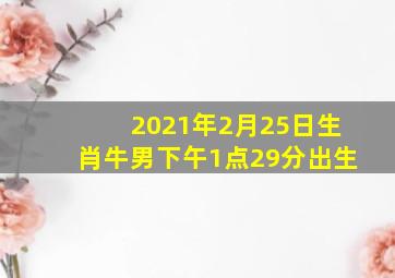 2021年2月25日生肖牛男下午1点29分出生