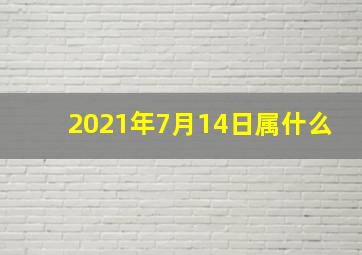 2021年7月14日属什么