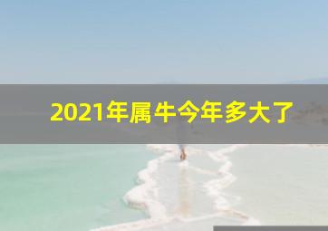 2021年属牛今年多大了