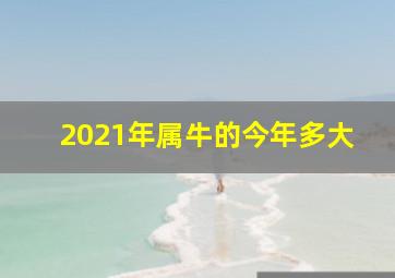 2021年属牛的今年多大