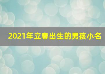 2021年立春出生的男孩小名