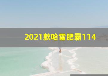 2021款哈雷肥霸114