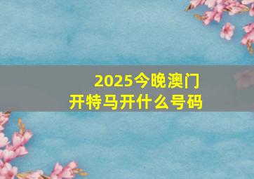 2025今晚澳门开特马开什么号码