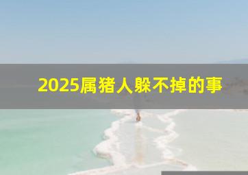 2025属猪人躲不掉的事