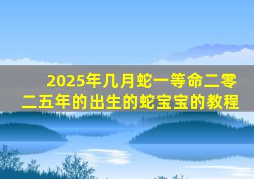 2025年几月蛇一等命二零二五年的出生的蛇宝宝的教程