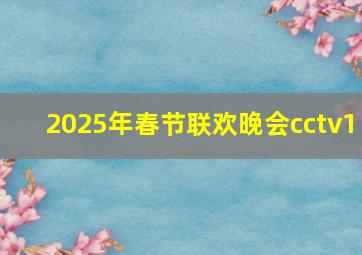 2025年春节联欢晚会cctv1