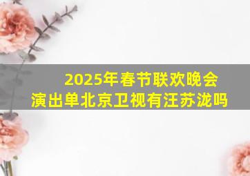 2025年春节联欢晚会演出单北京卫视有汪苏泷吗