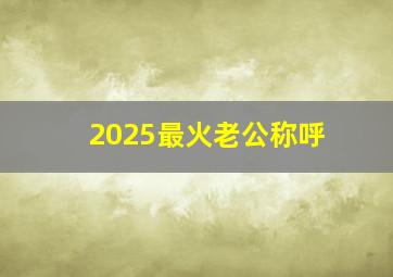 2025最火老公称呼