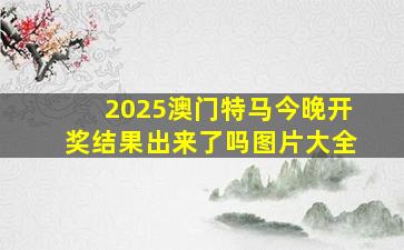 2025澳门特马今晚开奖结果出来了吗图片大全