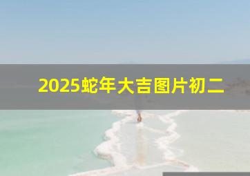 2025蛇年大吉图片初二