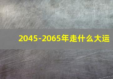 2045-2065年走什么大运