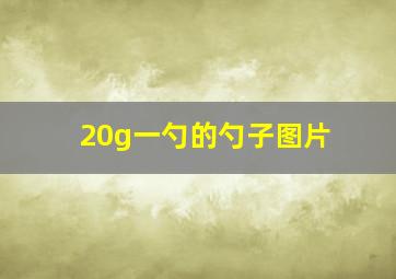 20g一勺的勺子图片