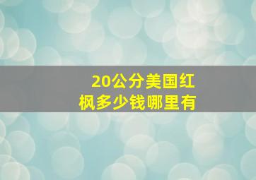 20公分美国红枫多少钱哪里有