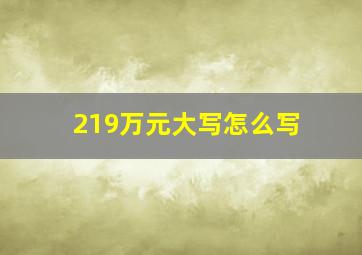 219万元大写怎么写