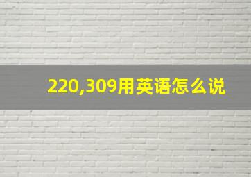 220,309用英语怎么说