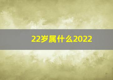 22岁属什么2022