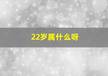 22岁属什么呀