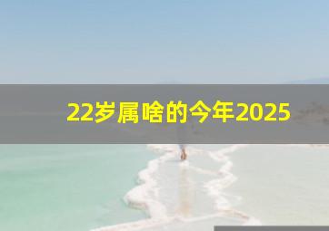 22岁属啥的今年2025