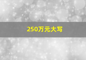 250万元大写