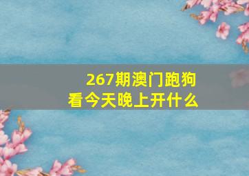 267期澳门跑狗看今天晚上开什么