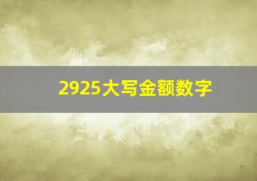 2925大写金额数字