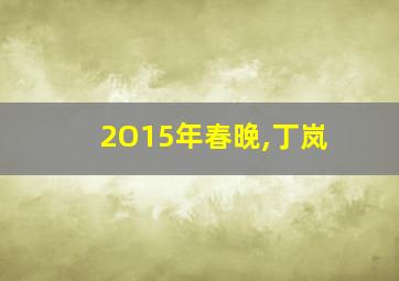 2O15年春晚,丁岚