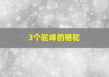 3个驼峰的骆驼