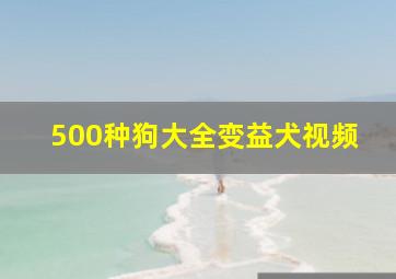 500种狗大全变益犬视频