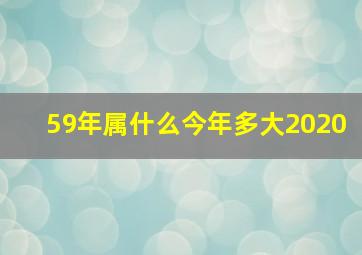 59年属什么今年多大2020