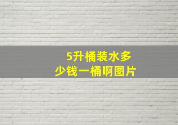 5升桶装水多少钱一桶啊图片