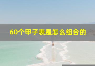 60个甲子表是怎么组合的