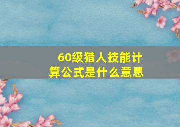 60级猎人技能计算公式是什么意思