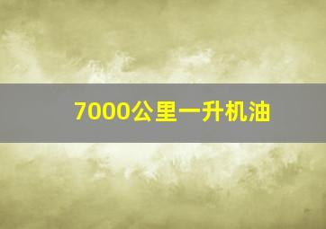 7000公里一升机油