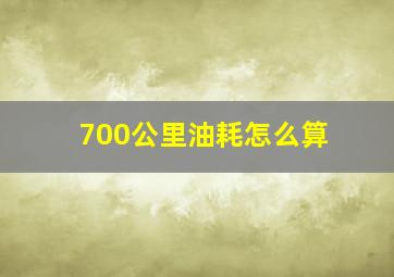 700公里油耗怎么算