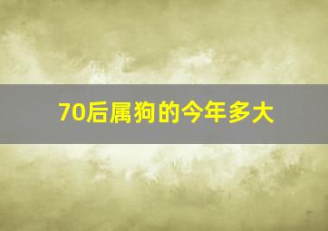 70后属狗的今年多大