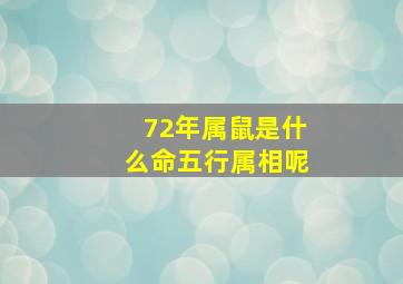 72年属鼠是什么命五行属相呢