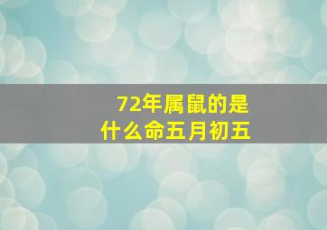 72年属鼠的是什么命五月初五