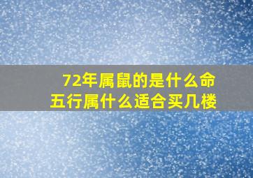 72年属鼠的是什么命五行属什么适合买几楼