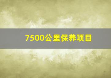 7500公里保养项目