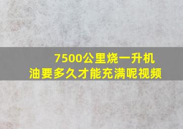 7500公里烧一升机油要多久才能充满呢视频