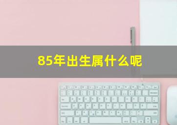 85年出生属什么呢